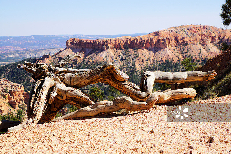 布莱斯伍德图片素材