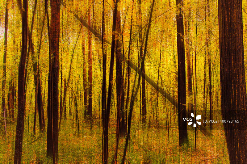 秋日画布图片素材