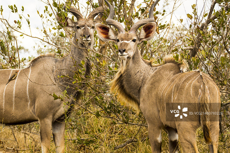 不管怎样,图片素材