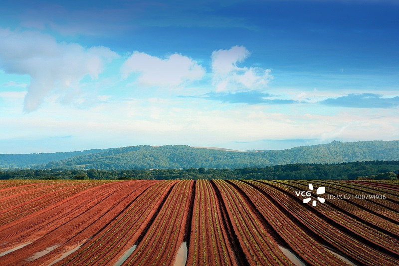 夏季暴雨后的南丘图片素材