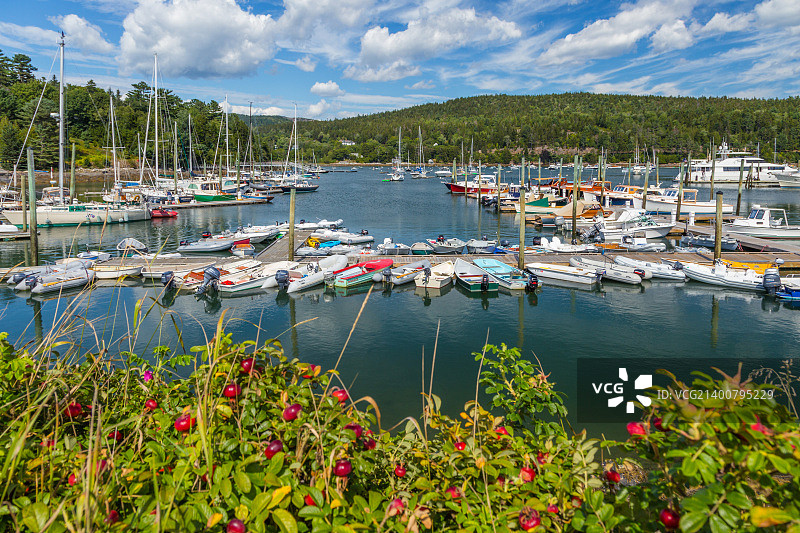 美国缅因州东北港沙漠岛图片素材