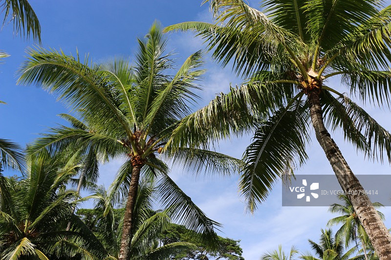 博拉博拉岛图片素材