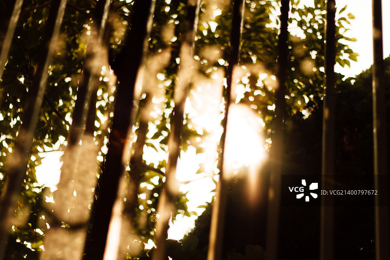 思乡 No.375图片素材