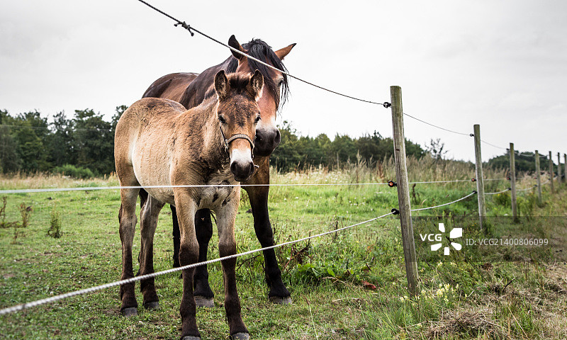 你在那里做什么？图片素材