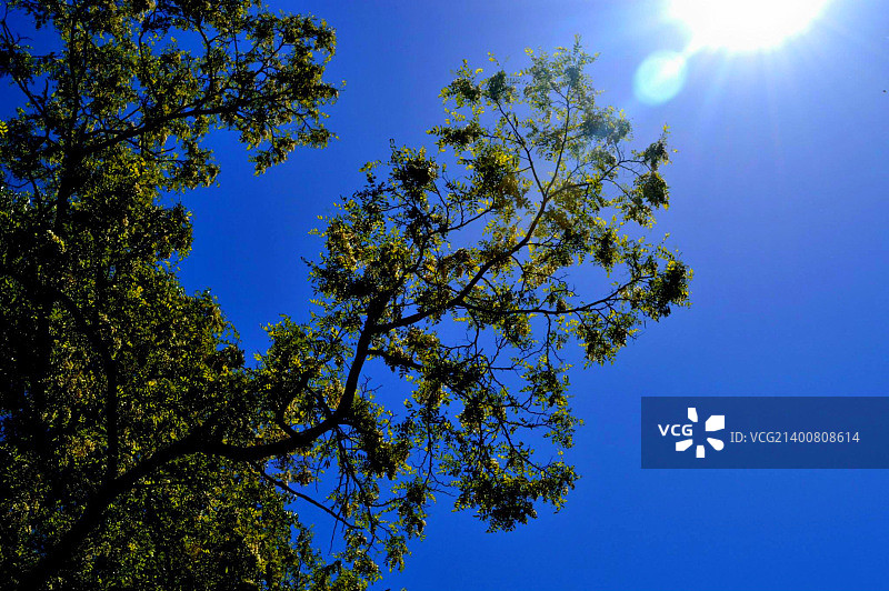 纽约熊山清爽晴朗的一天-1图片素材