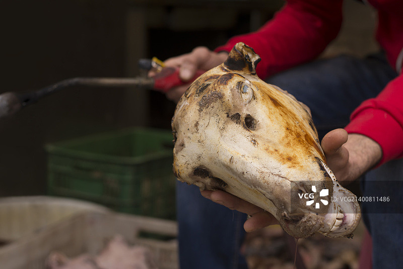 一个男人拿着被宰杀的羊头，用火把去除毛发图片素材