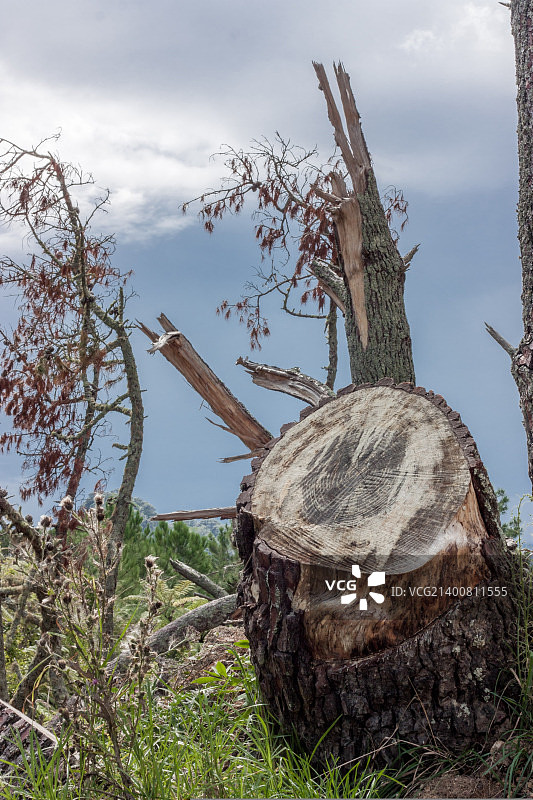 科罗曼德半岛图片素材