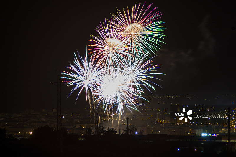 2015年栓皮栎图片素材