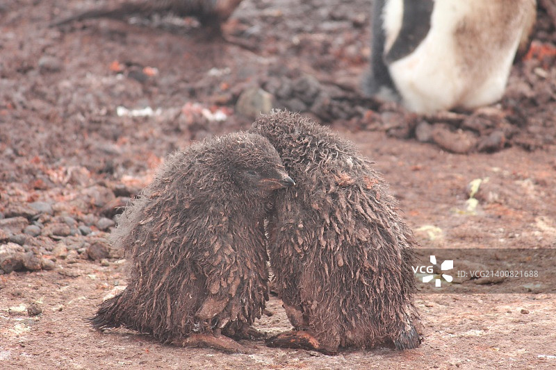 图片1572.JPG图片素材