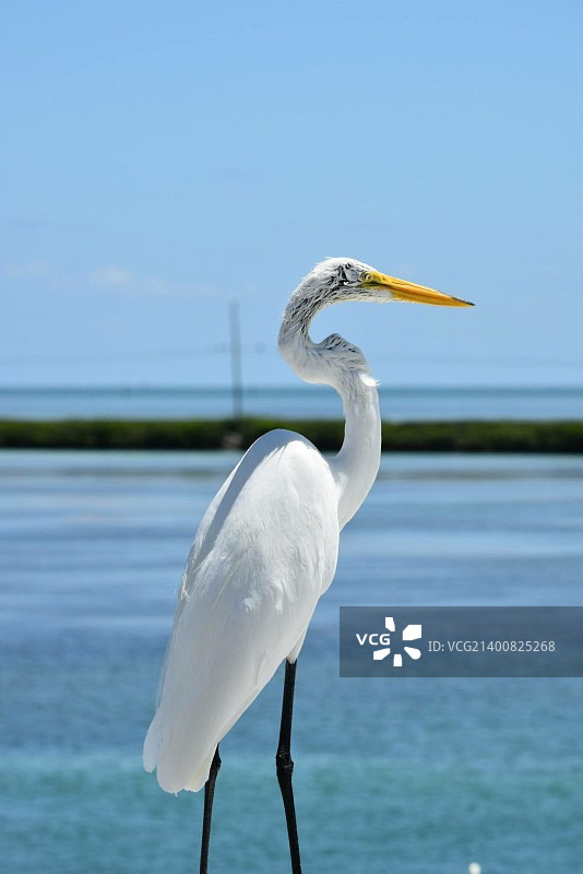 无标题的图片素材