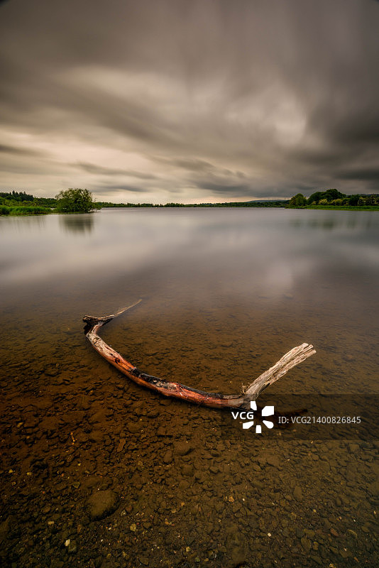 孤零零的木头图片素材