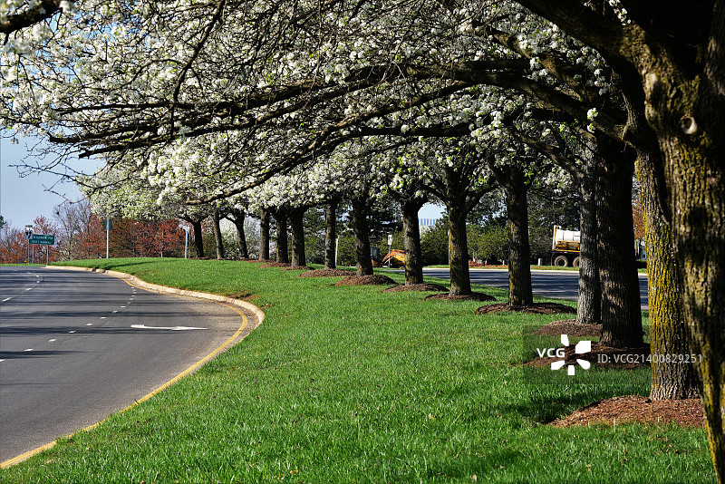弗吉尼亚州劳登郡公园路图片素材