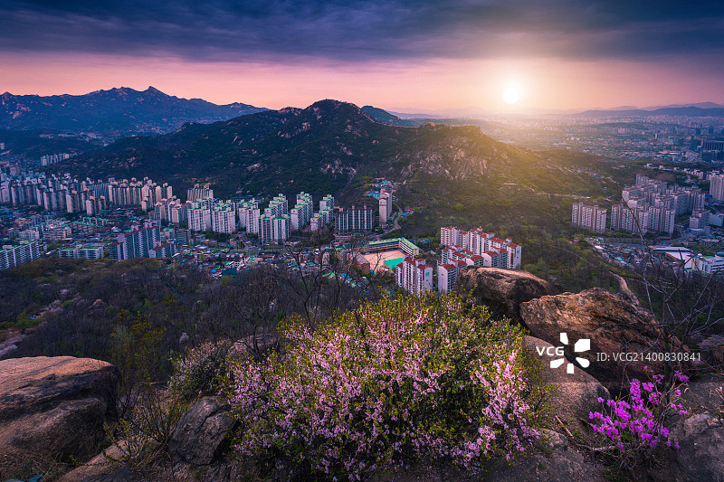 首尔山上的春天图片素材