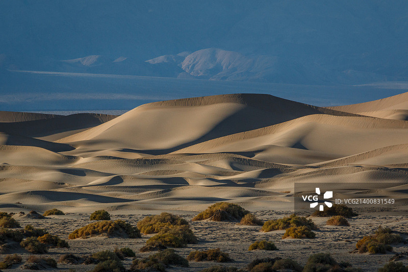 梅斯基特平原的午后光线图片素材