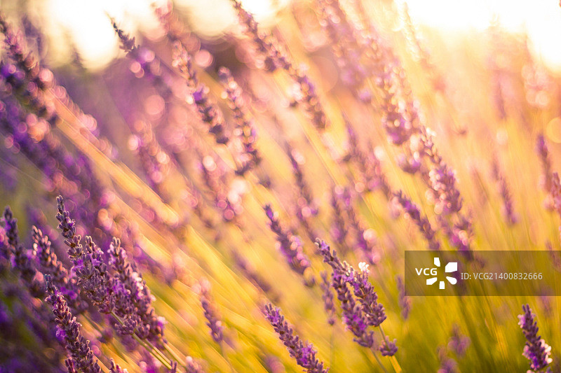 神奇的光图片素材