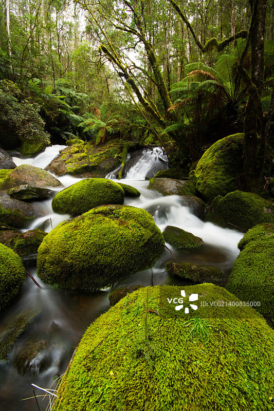 垫脚石图片素材