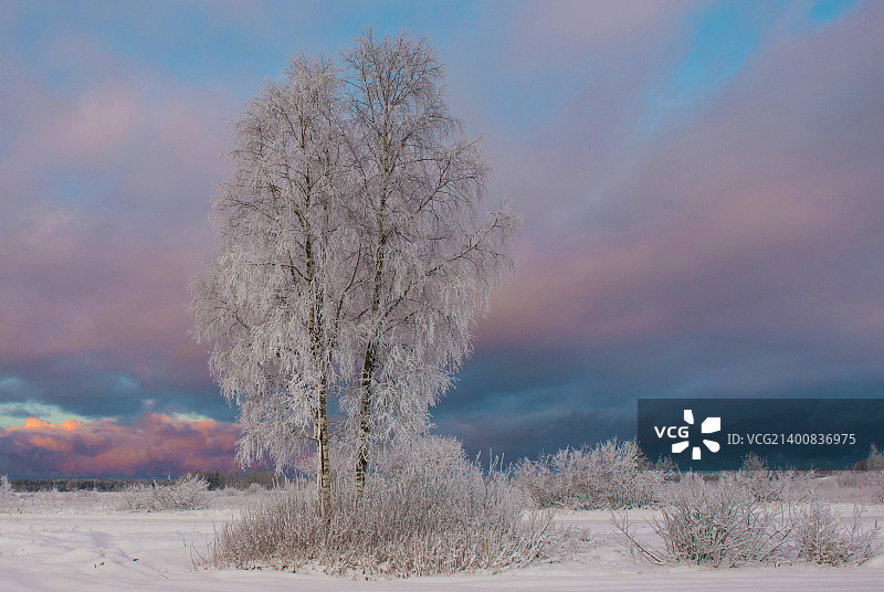 冬季仙境III图片素材