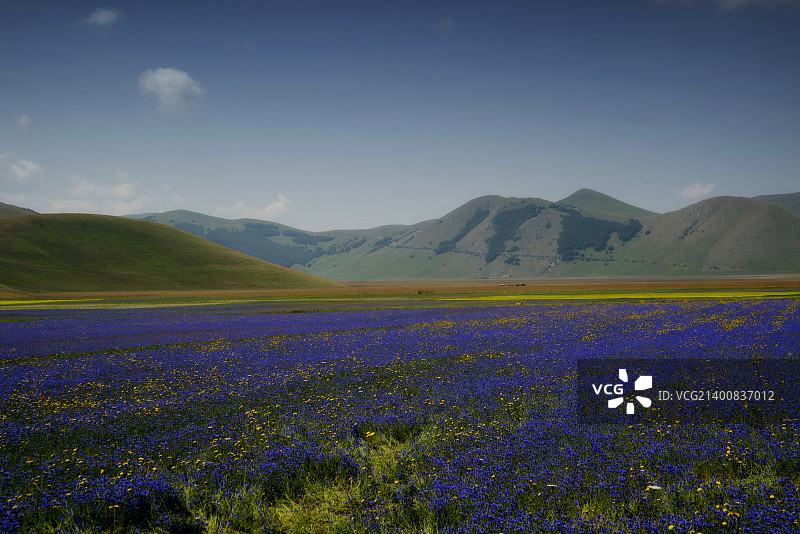 蓝色大钢琴图片素材