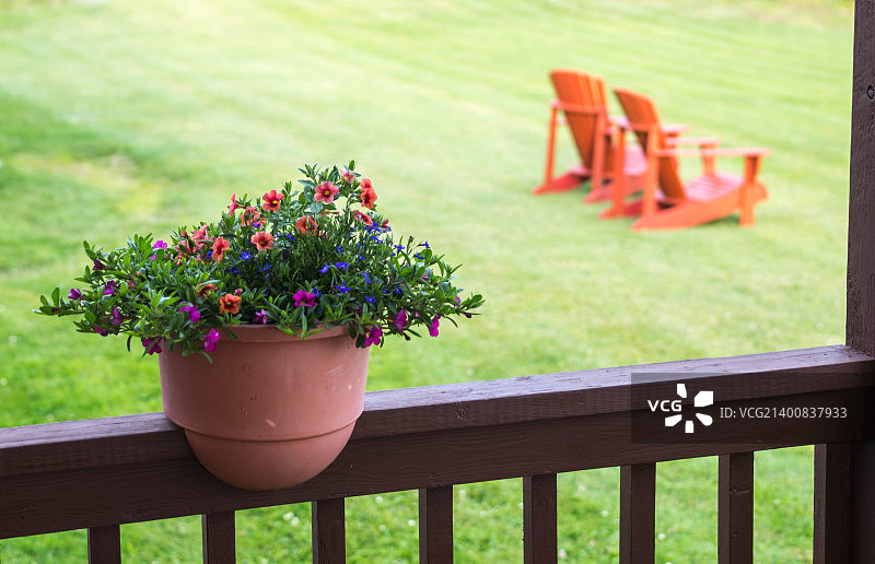 加拿大坎波贝洛木屋的花盆图片素材