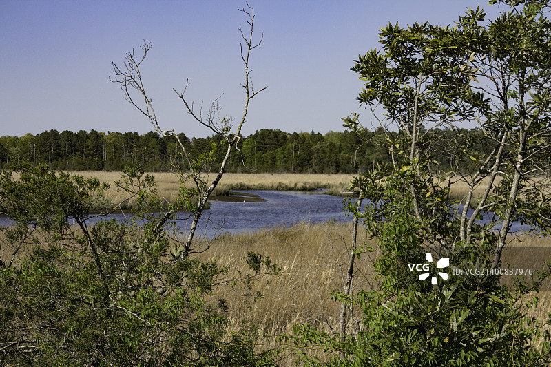 图片1572图片素材