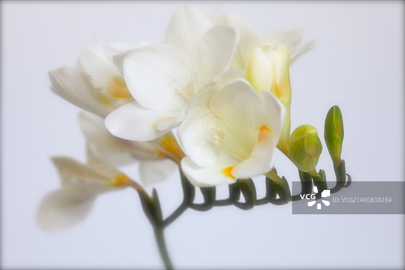 IMG_9837.JPG图片素材