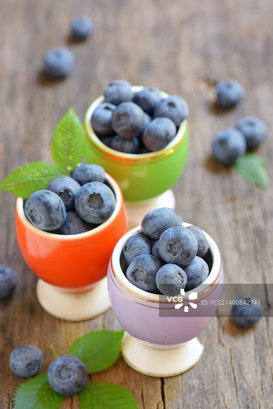 新鲜采摘的蓝莓图片素材