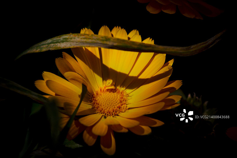 中东城市安曼，约旦图片素材