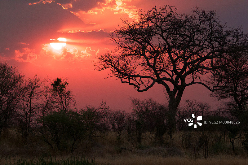 非洲稀树草原的日落图片素材