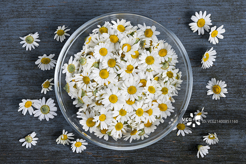碗里的甘菊花朵图片素材