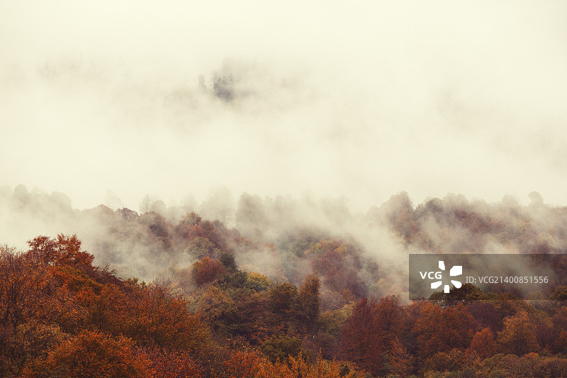 罗莎库托尔山景图片素材