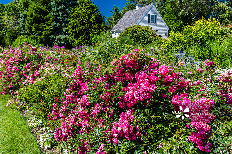 MA-科德角-哈维奇波特-威奇米尔港图片素材