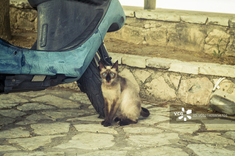 扎金索斯旅游图片素材