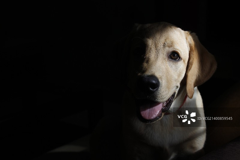 _MG_7636.JPG图片素材