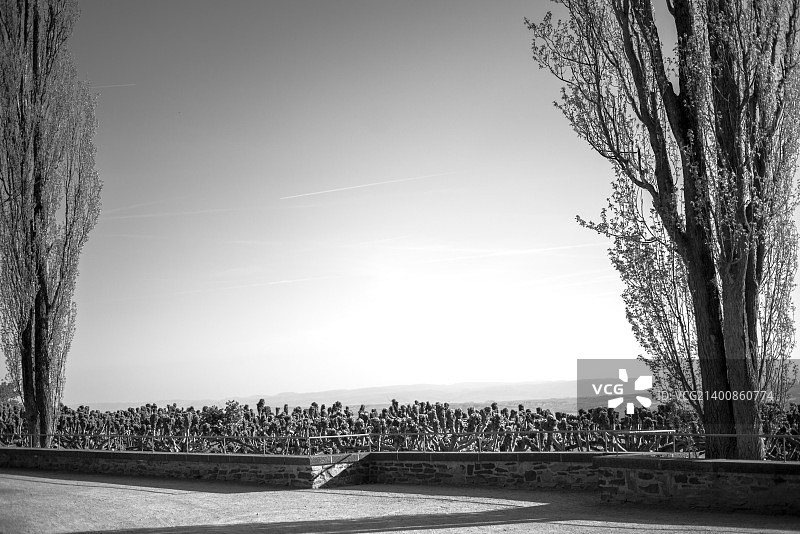 摄影师：Rene Kramer图片素材