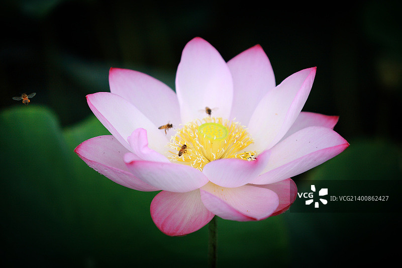 韩国蔚山图片素材