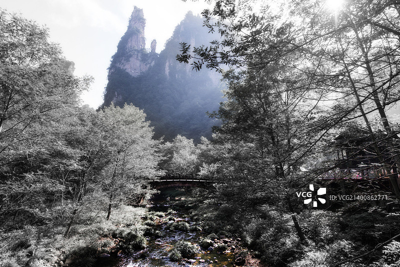 中国湖南张家界金鞭溪图片素材