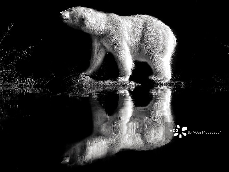 Karina Vera摄影作品图片素材