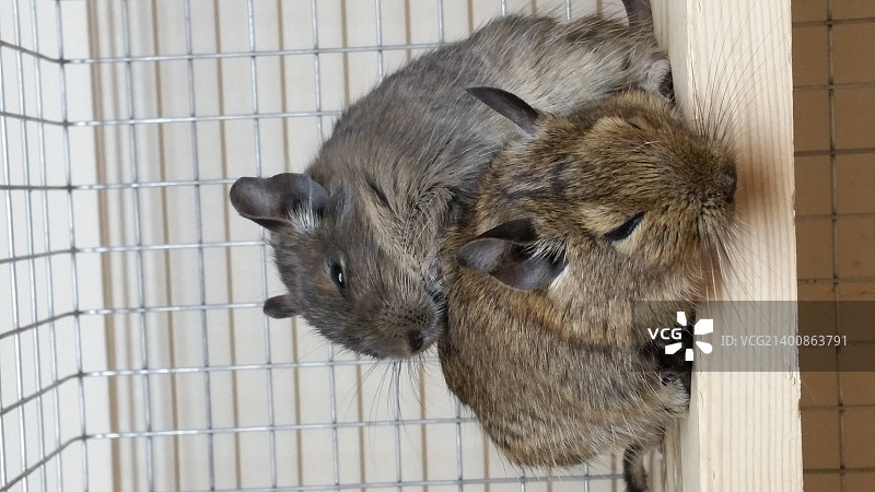 20150822_132006.jpg图片素材