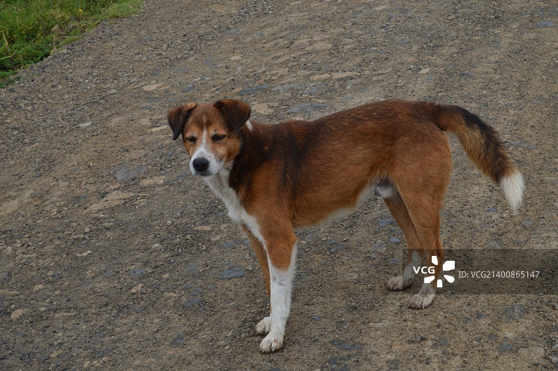 胡宁，哥伦比亚图片素材