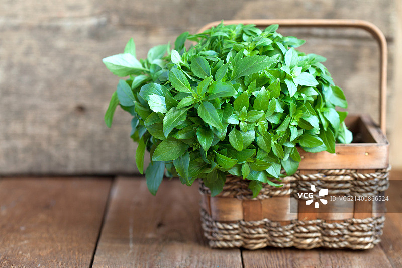 木桌篮子里的一束新鲜绿色罗勒图片素材