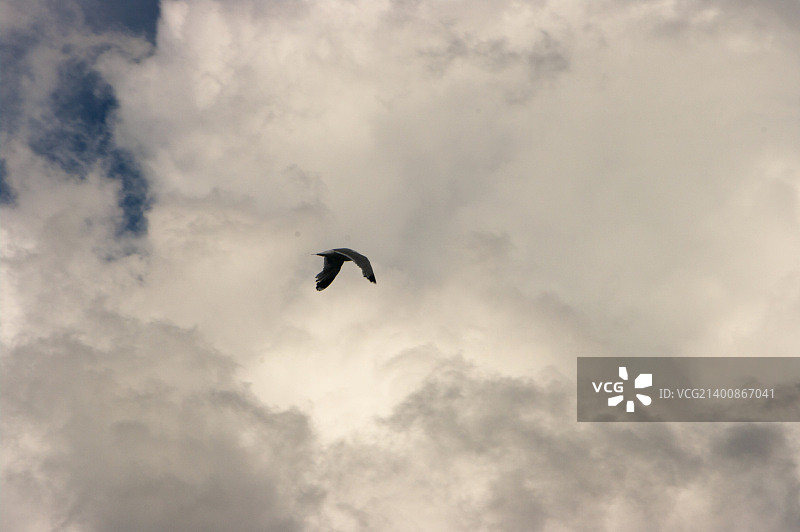 伏尔加河之旅/俄罗斯图片素材