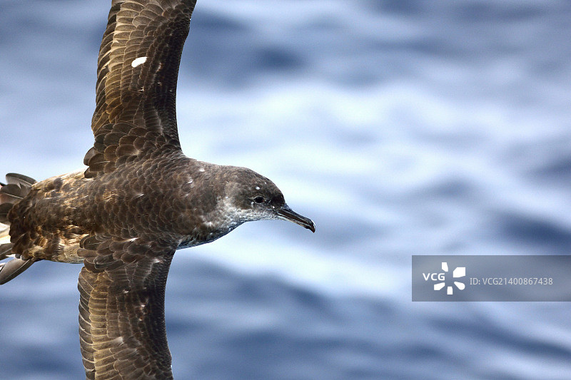 西班牙塔拉戈纳图片素材