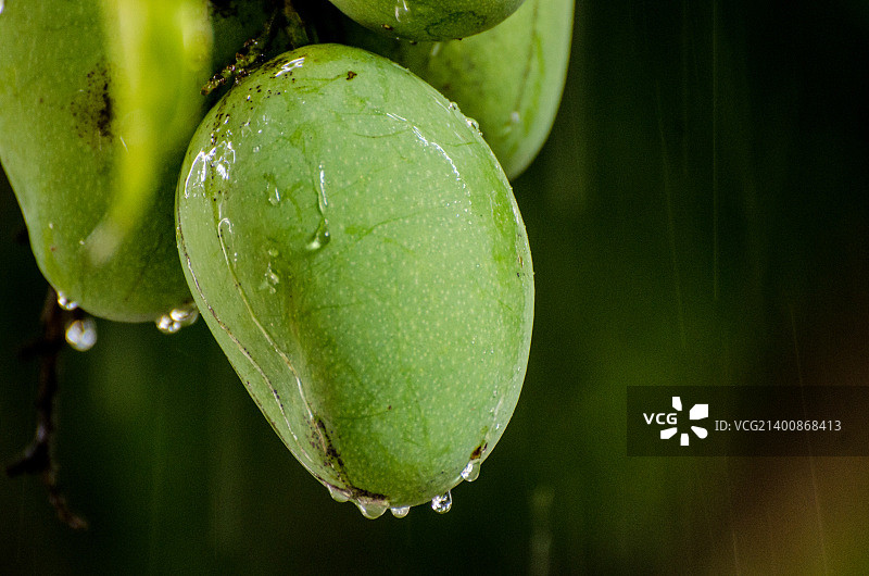 雨的色彩图片素材