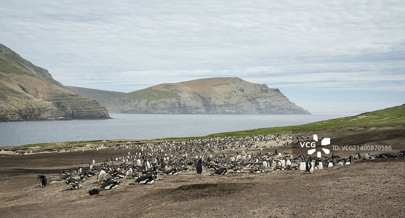 福克兰群岛图片素材