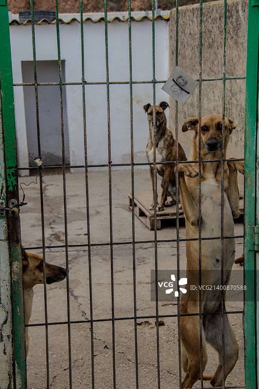 西班牙布尔戈斯图片素材