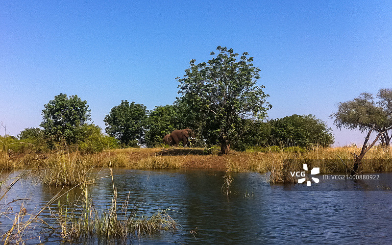 赞比西河图片素材