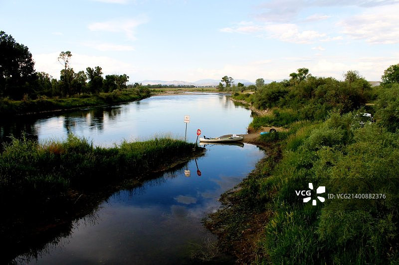 湖边的树顶着天空图片素材