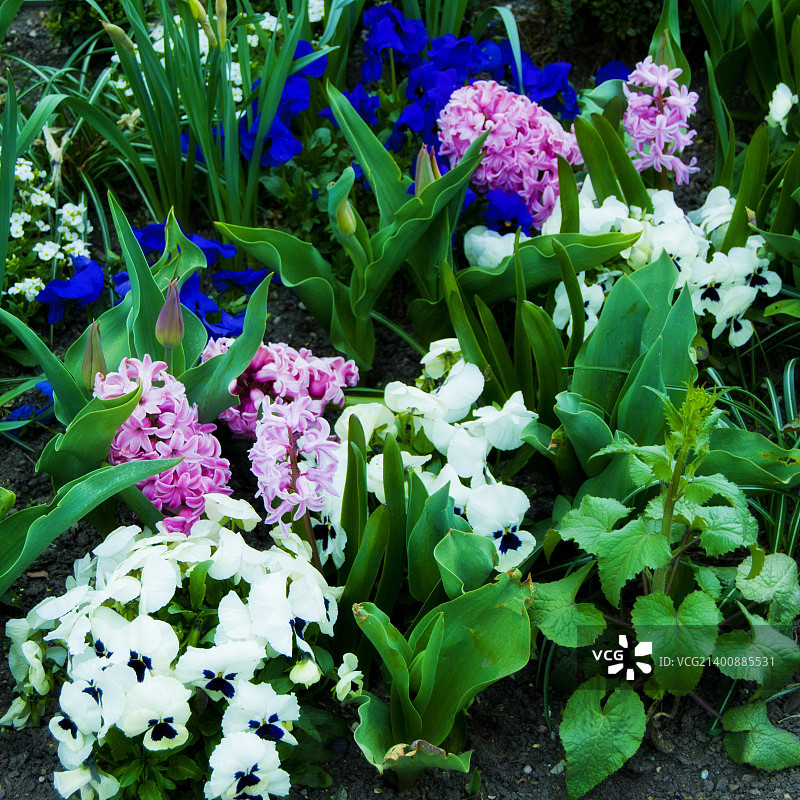 德国汉诺威-6图片素材