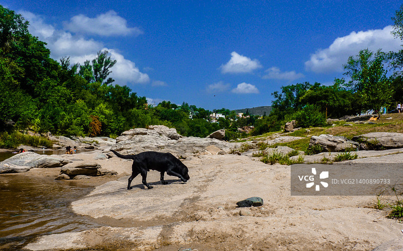 卡洛斯帕斯别墅图片素材