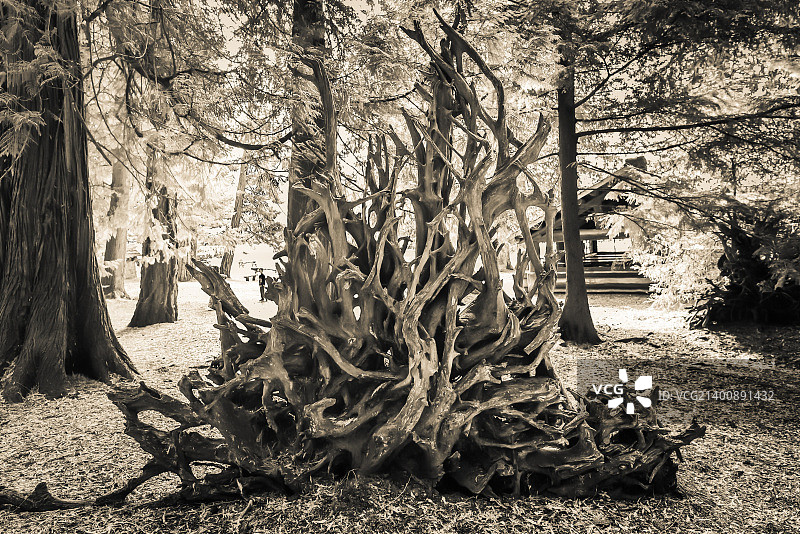 铁王座图片素材